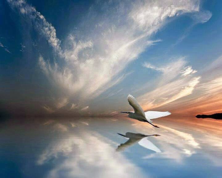 sogni sogni