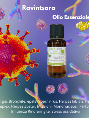 Olio Essenziale Ravintsara