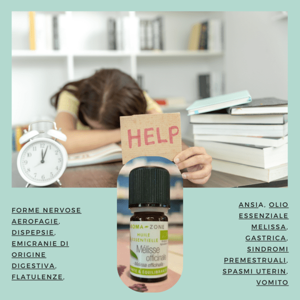 Olio Essenziale Cipresso - immagine 2