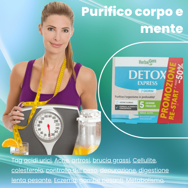 OLMO CAMPESTRE - immagine 2