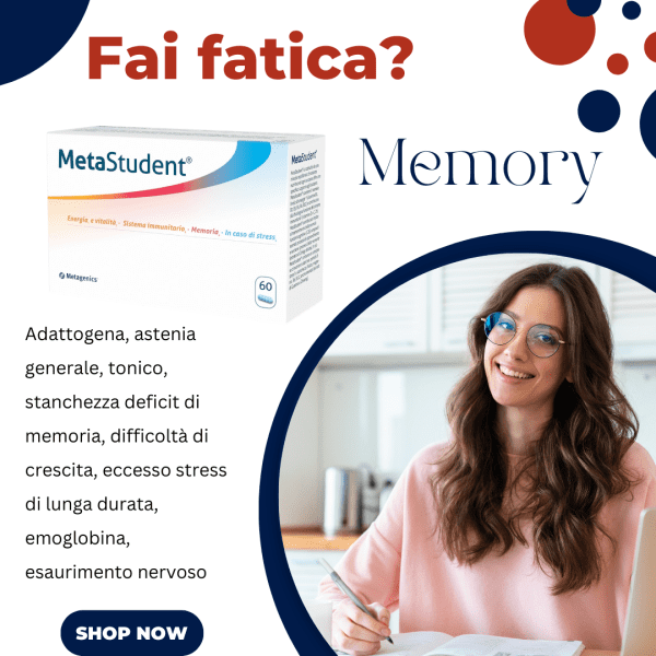 MetaStudent