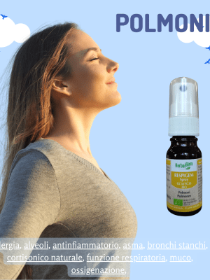 RESPIGEM POLMONI