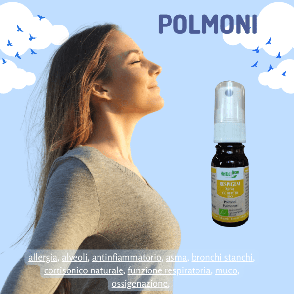 RESPIGEM POLMONI