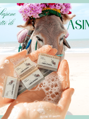 Sapone latte d'asina