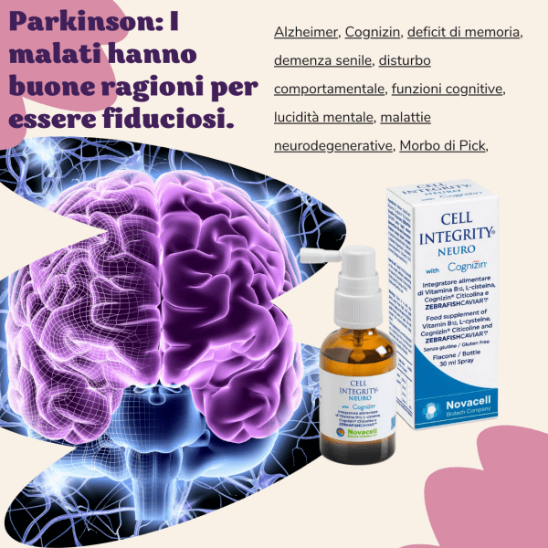 CogniFit - immagine 3