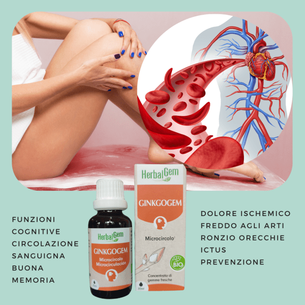Enanda SD - immagine 4