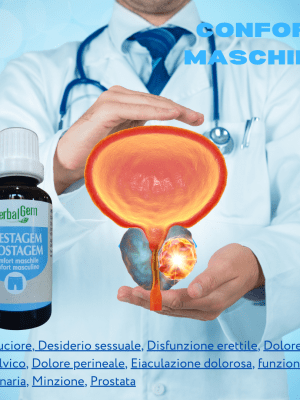 Prestagem Confort Maschile