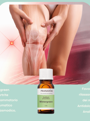 Olio Essenziale Wintergreen