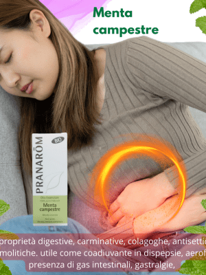 Olio essenziale Menta campestre