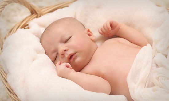 bambino 5 bambino 5