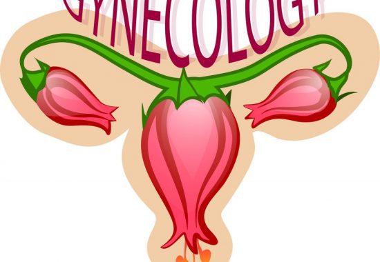 ginecologia ginecologia